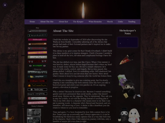 AboutTheSite screenshot