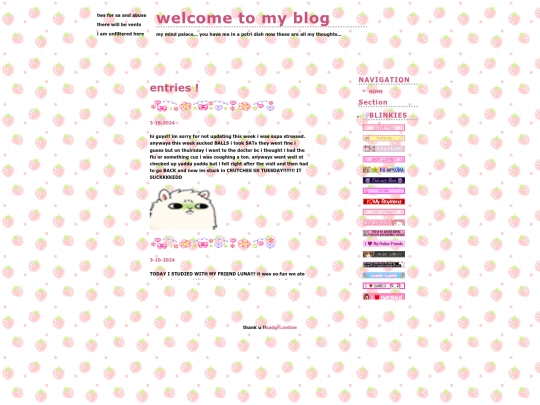 blog screenshot