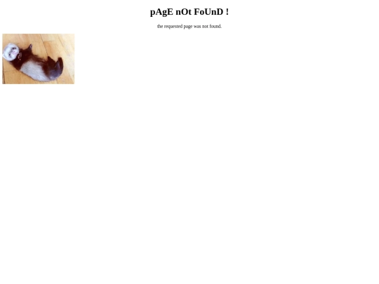 not_found screenshot