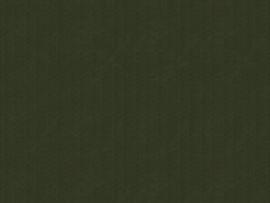 zine screenshot