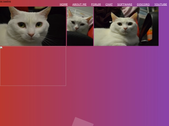 cat screenshot