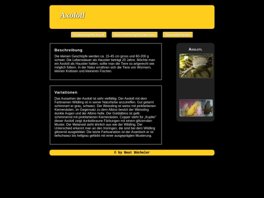 beschreibung screenshot
