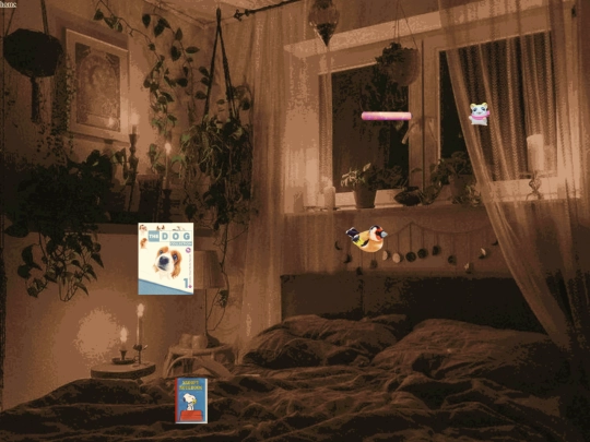 collections screenshot