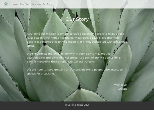 our-story screenshot
