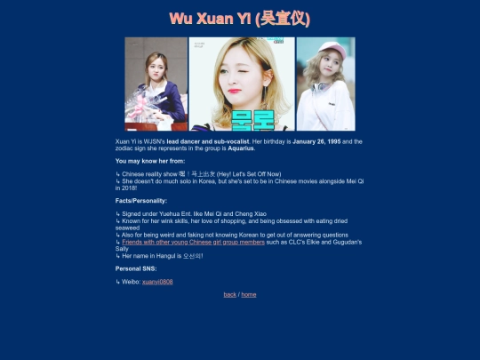 xuanyi screenshot