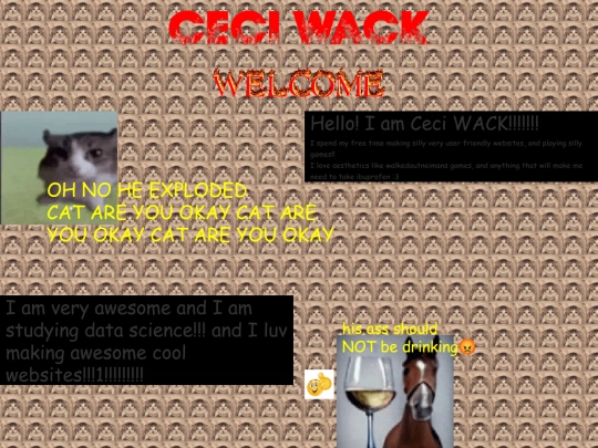 aboutme screenshot