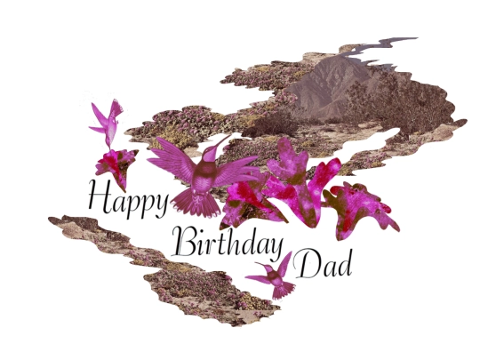 happy-birthday-dad screenshot