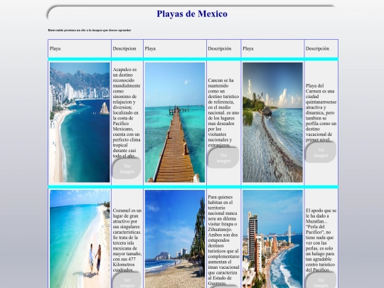Actvividad No4. Galeria de imagenes screenshot