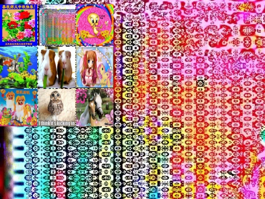 celebrating screenshot