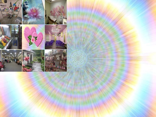flowers screenshot