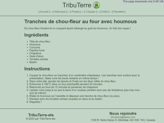 recettes/tranche_chou_fleur_hummus screenshot