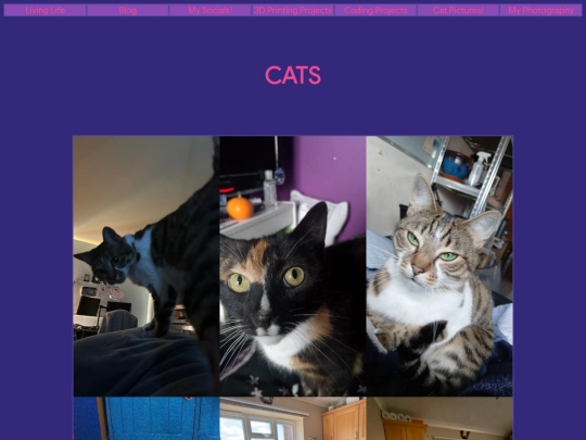 pages/cats screenshot