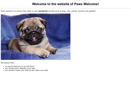 test screenshot