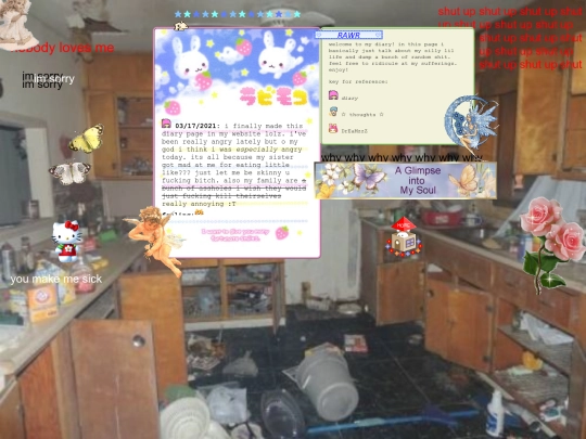 diary screenshot