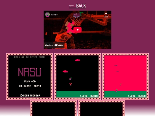 games/nasu-8 screenshot