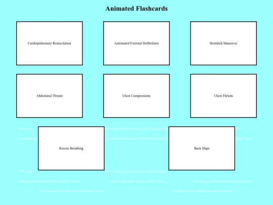 flashcards screenshot