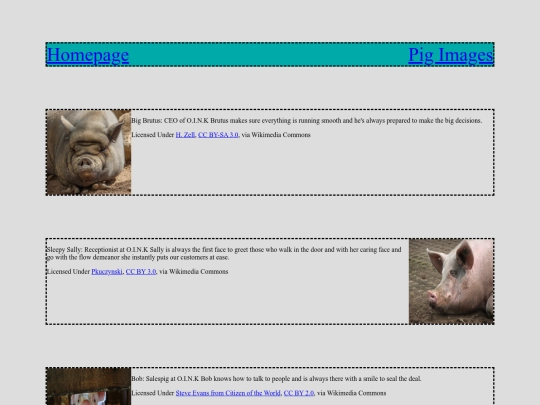 staffbio screenshot
