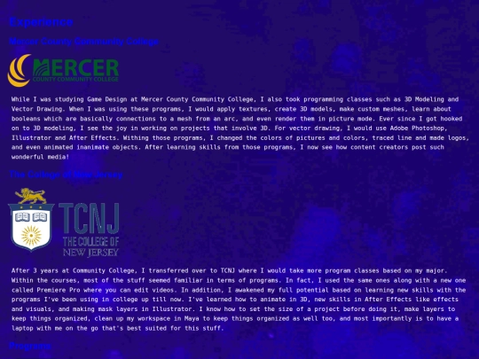 AaronFinalWebpage/experience screenshot