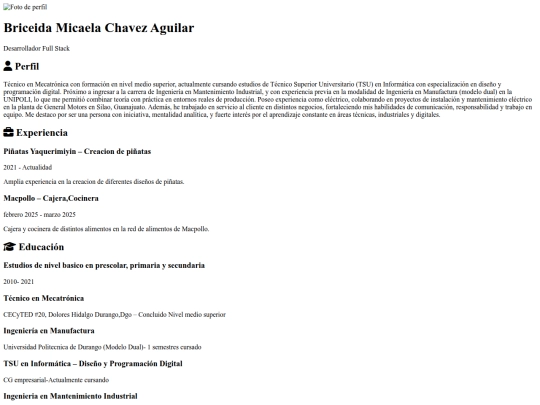 canva/cv screenshot