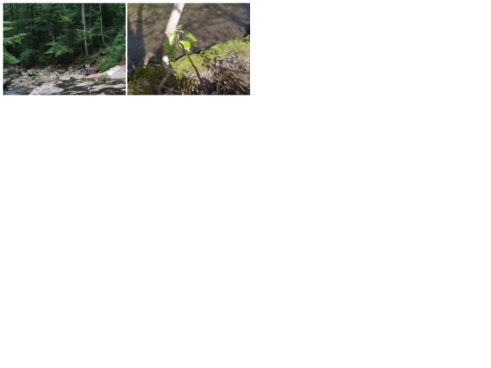 outside/creek/creek screenshot