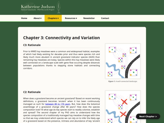 c3 screenshot