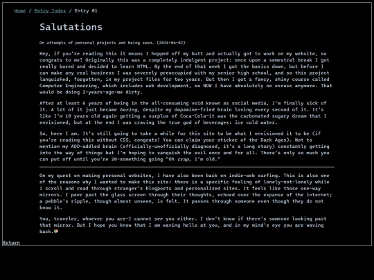 entry/01 screenshot