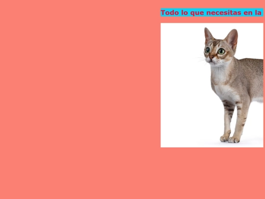 MARQUESINA screenshot