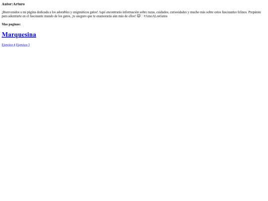 ejercicio8 screenshot
