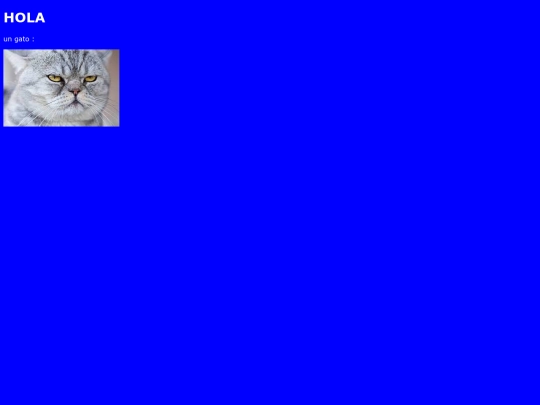 gato screenshot