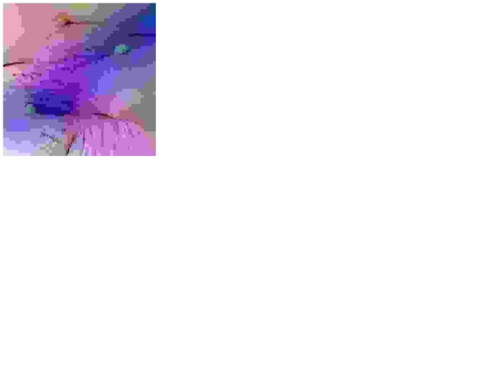 HGVNET/HGVNETindex screenshot