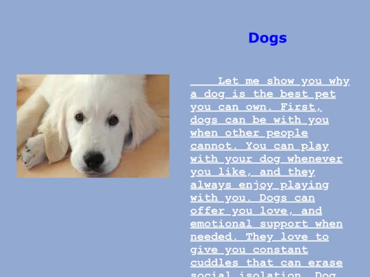 dog screenshot