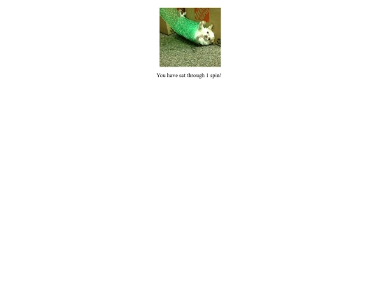 chihuahuaspin.com screenshot