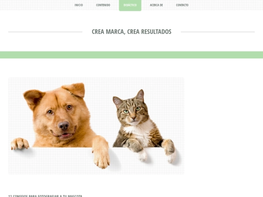 doce_consejos screenshot