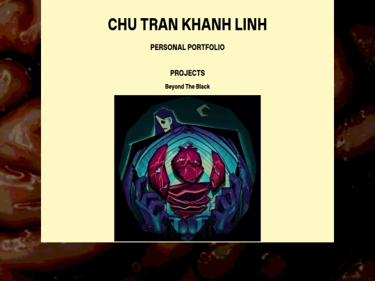 portfolio/portfolio screenshot