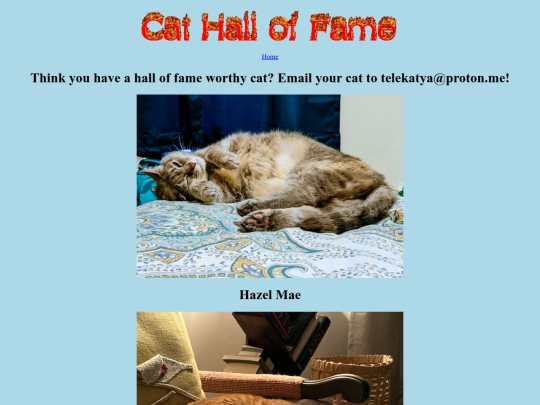site/cats screenshot