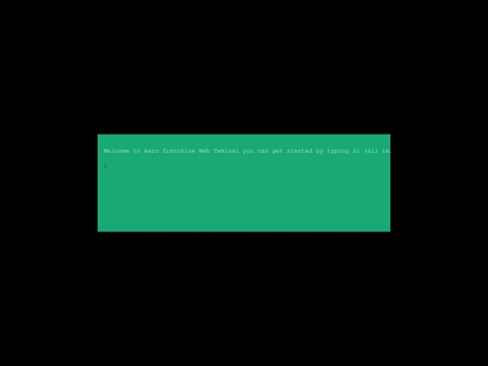 teminal screenshot