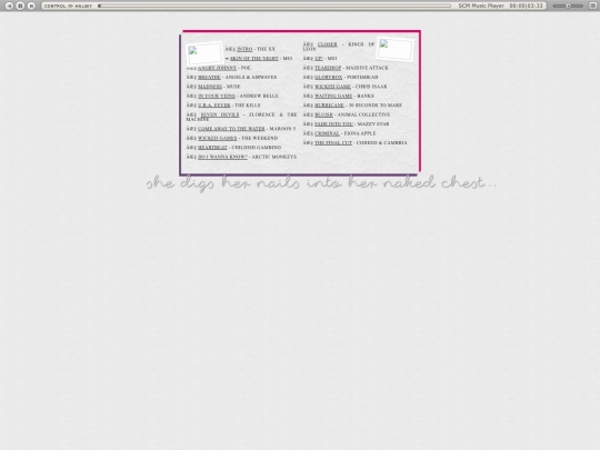 fanmix screenshot