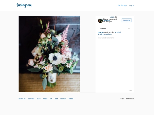 instagram/xvi screenshot