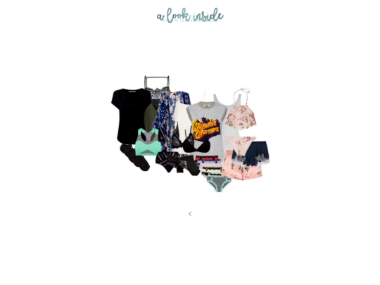 luggage/v screenshot