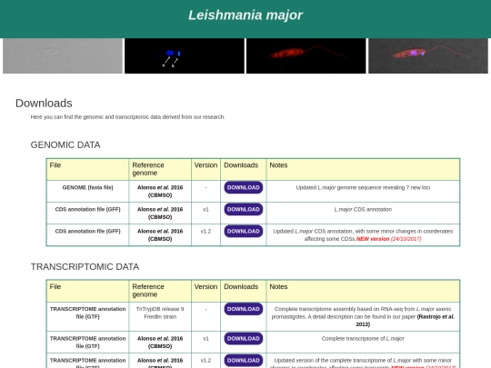 L_major_downloads screenshot