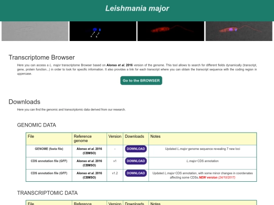 L_major_site_v2 screenshot