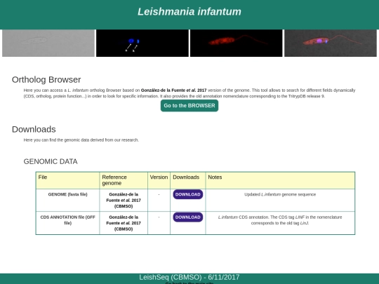l_infantum_site screenshot