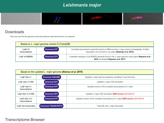 major_site screenshot
