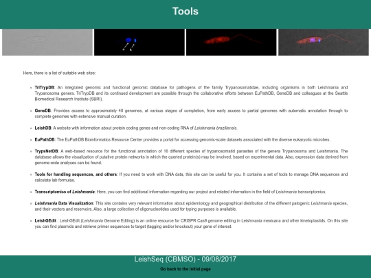 tools screenshot