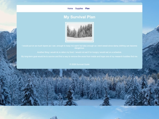 Project/Survival_Website/plan screenshot