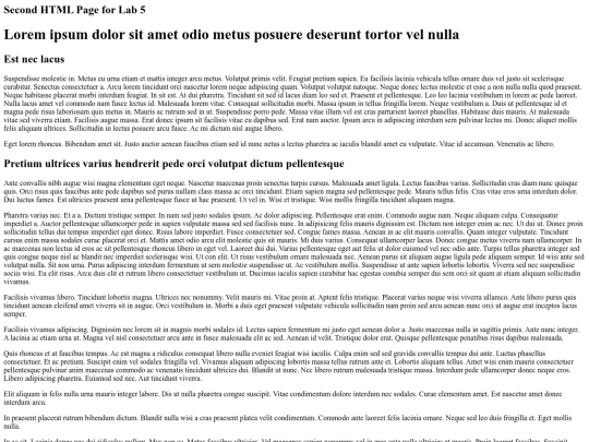 Lab5/Lab5Latin (1) screenshot