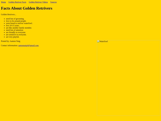 Golden_Retriver_Interesting_Facts screenshot