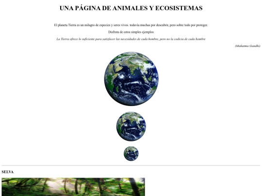 ejercicio05 screenshot
