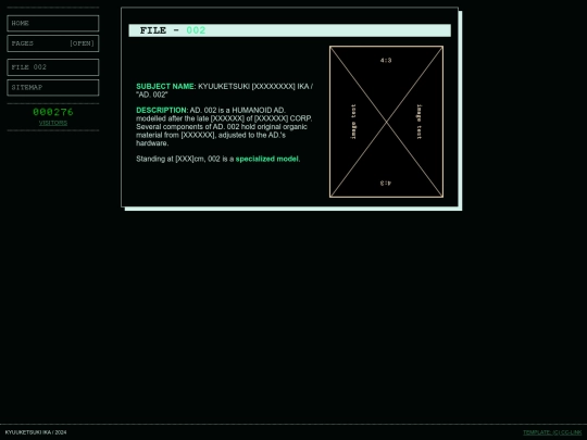 page screenshot
