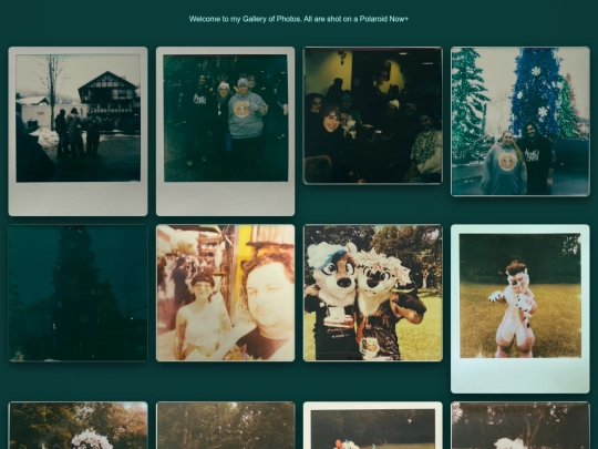 Photography screenshot